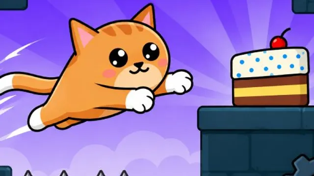 I Am Cake No Cats